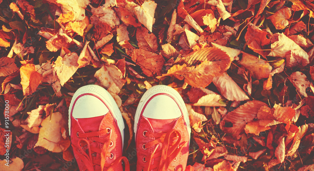 秋叶里的鞋子红鞋子