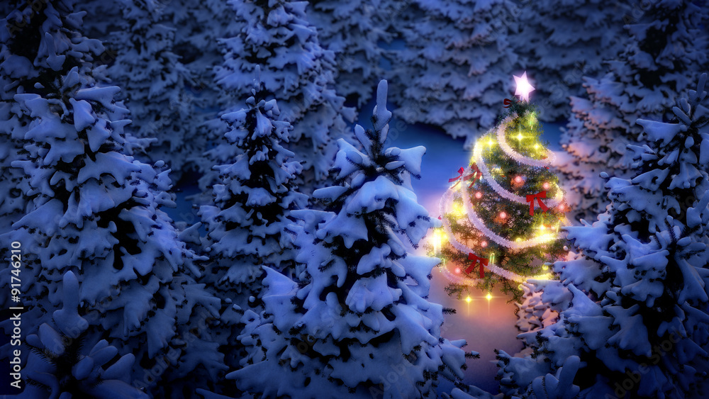 illuminated christmas tree in pine woods at night, aerial view