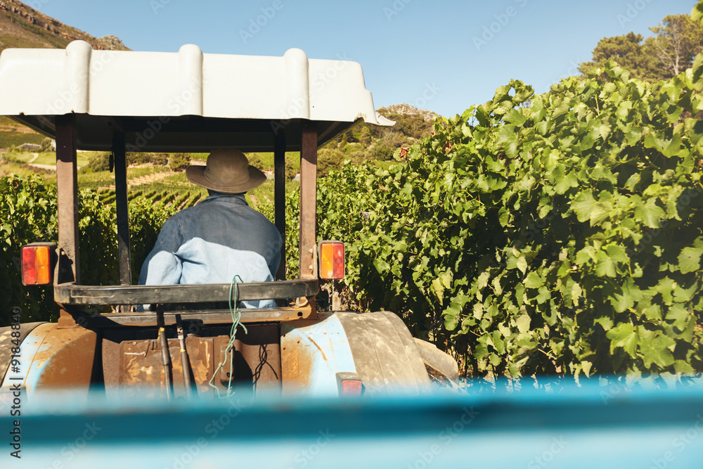 Farmer driving his tractor in the vineyard