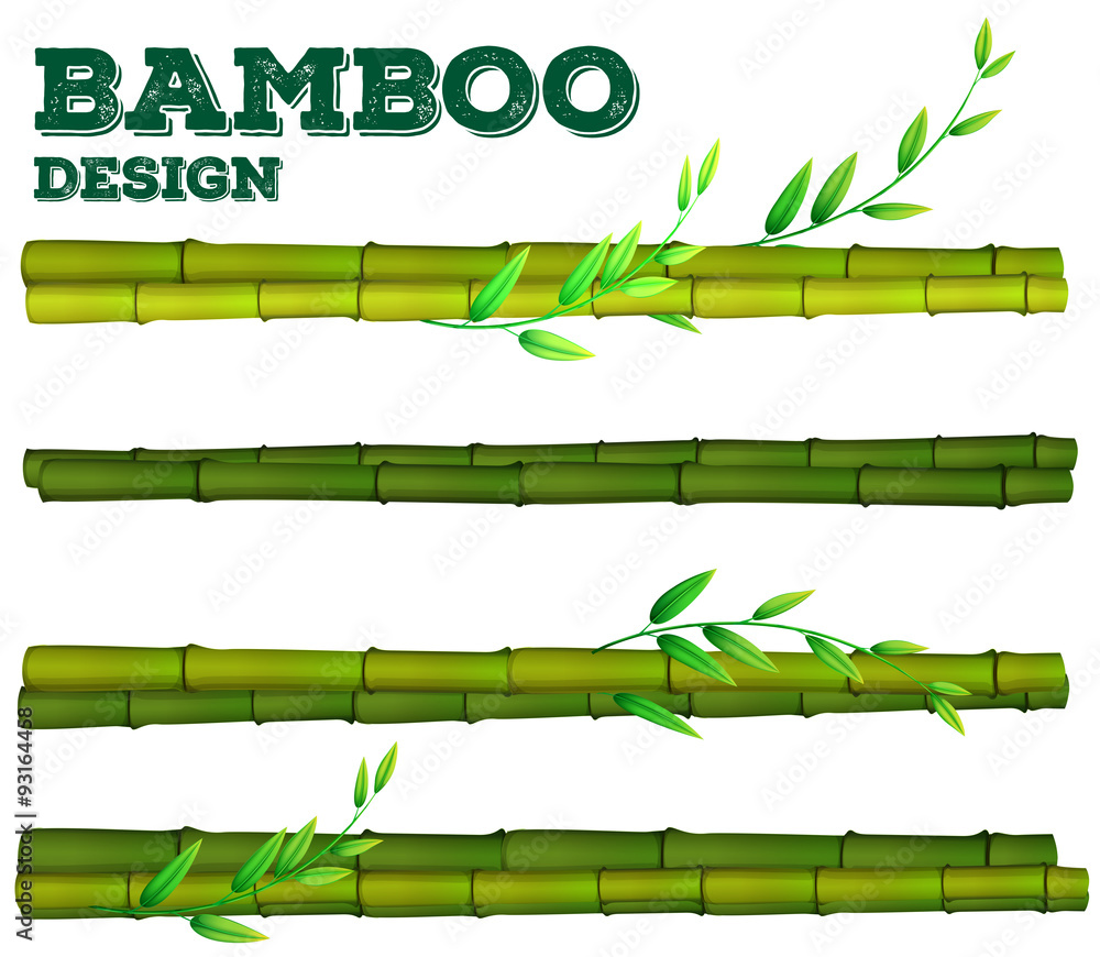 带有茎和叶的不同竹子设计