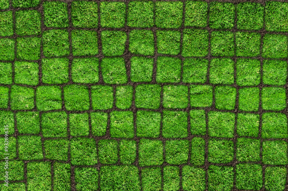 抽象草绿色瓷砖