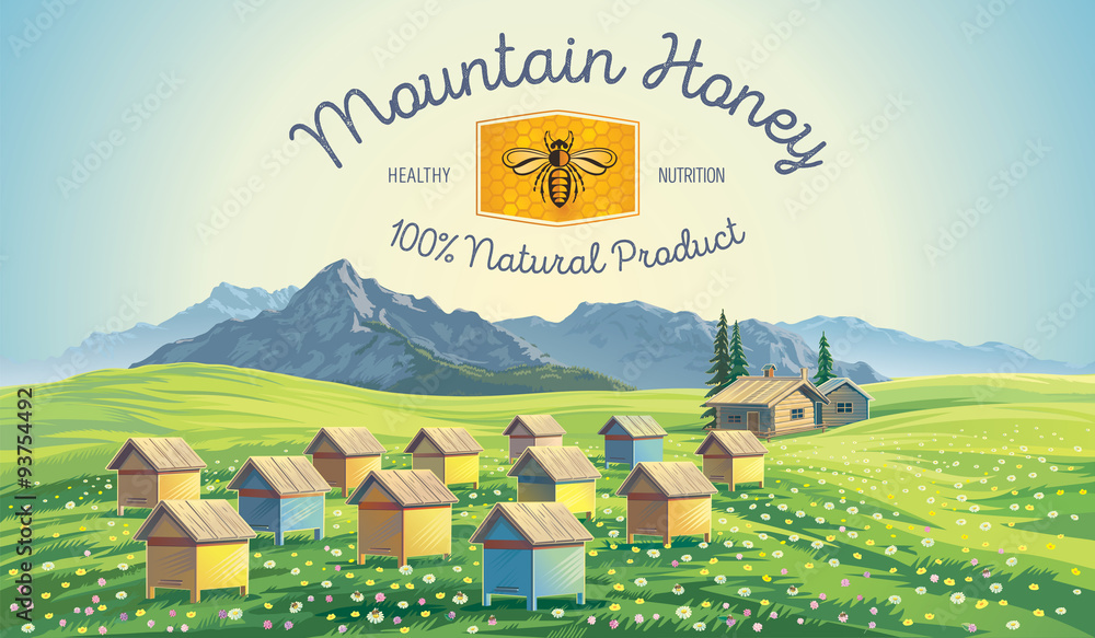 Bee apiary in the mountains. Mountain landscape.