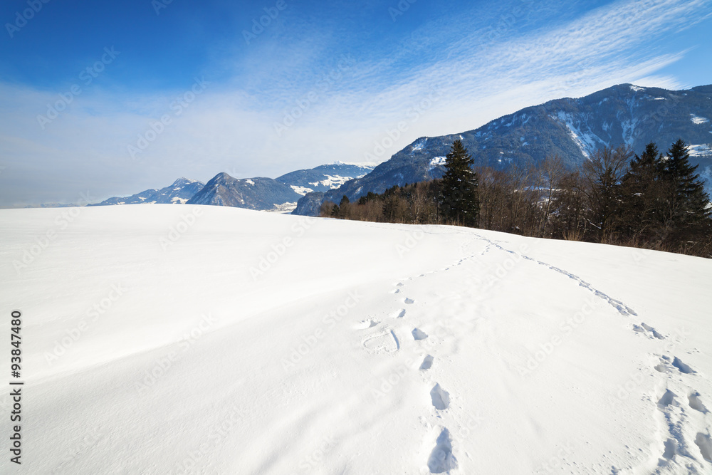 雪中有脚印的冬季景观