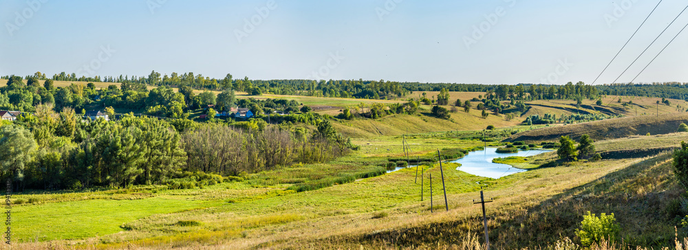 俄罗斯库尔斯克地区博尔索·戈罗德科沃的草地