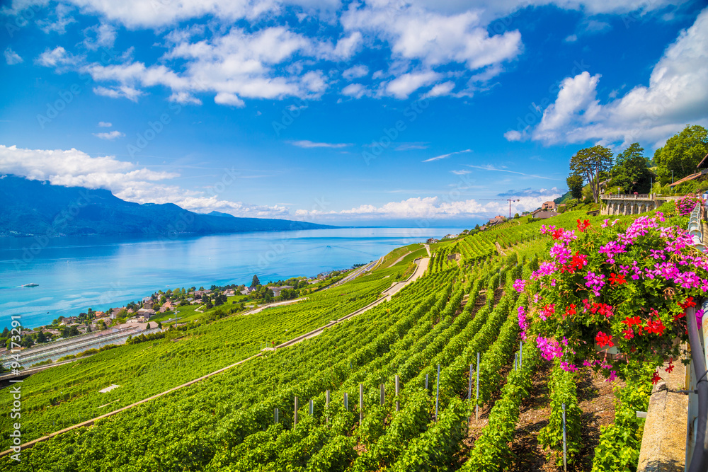 瑞士沃州日内瓦湖Lavaux葡萄酒产区