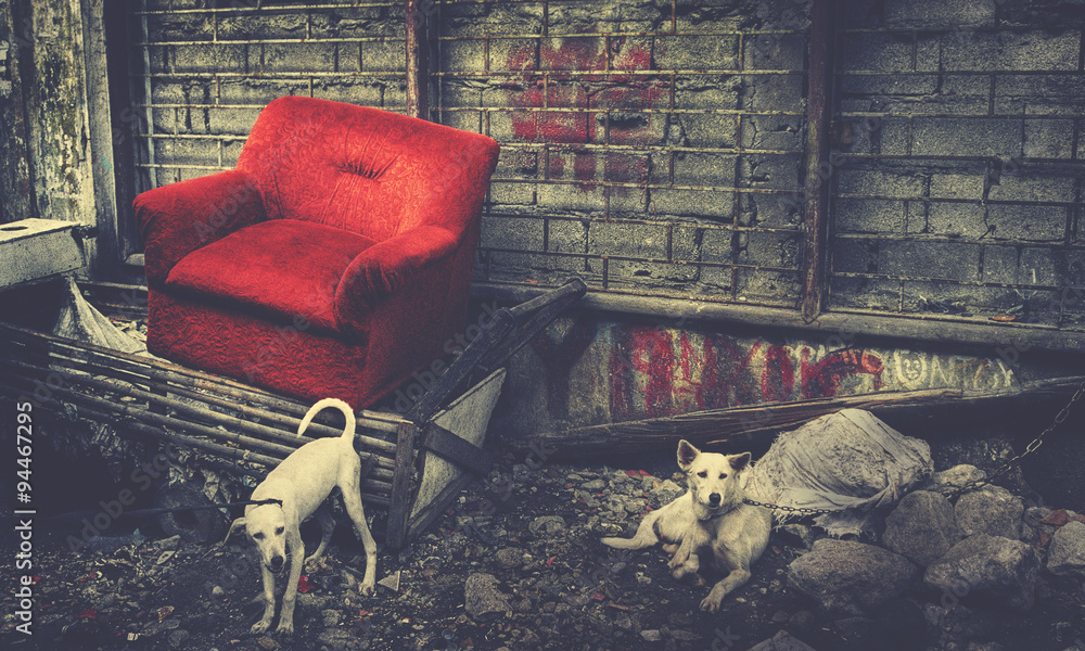 马尼拉废弃的沙发——古老的现代概念