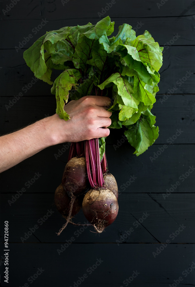 一束新鲜的花园甜菜根放在男人手里，黑色木质背景