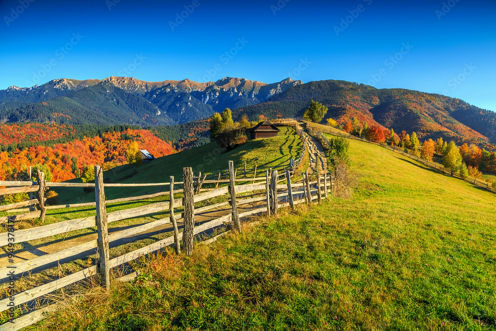 欧洲罗马尼亚特兰西瓦尼亚布兰附近令人惊叹的秋季乡村景观