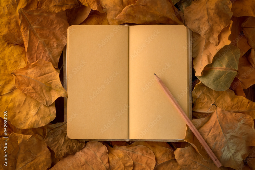 彩色秋叶靠近日记笔记本