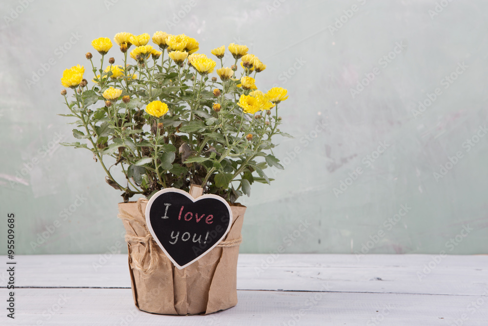 我爱你——带留言卡的花盆里的美丽花朵