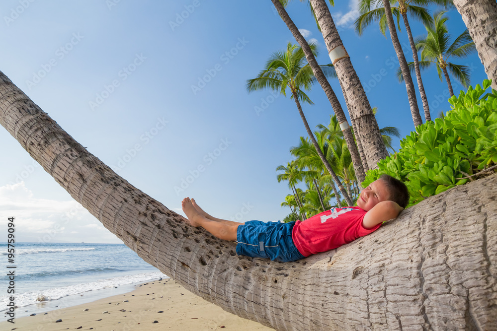 男孩在棕榈树上放松