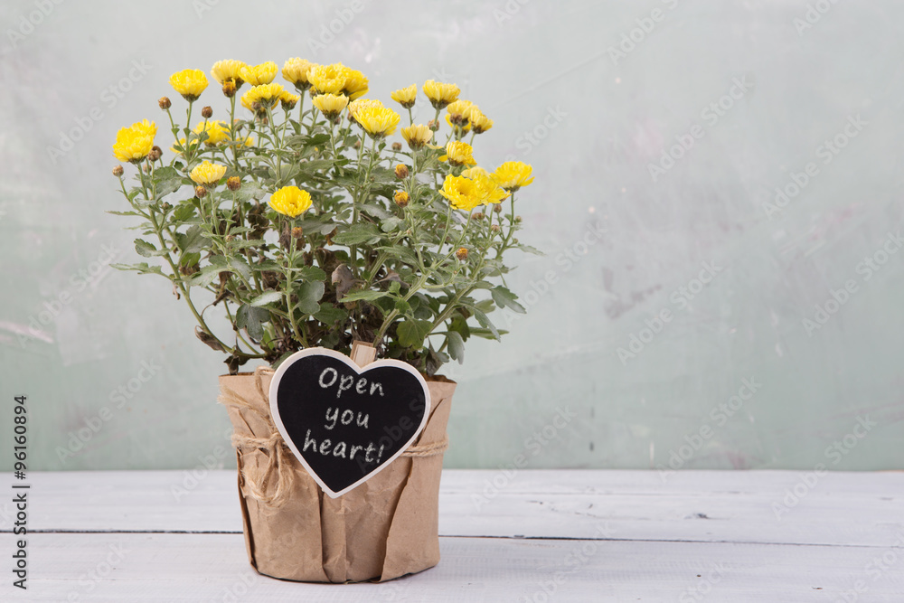 打开你的心——用留言卡在花盆里开出美丽的花朵