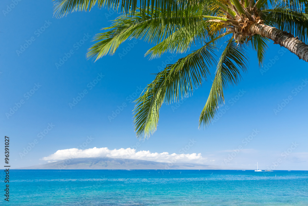 棕榈树热带海滩