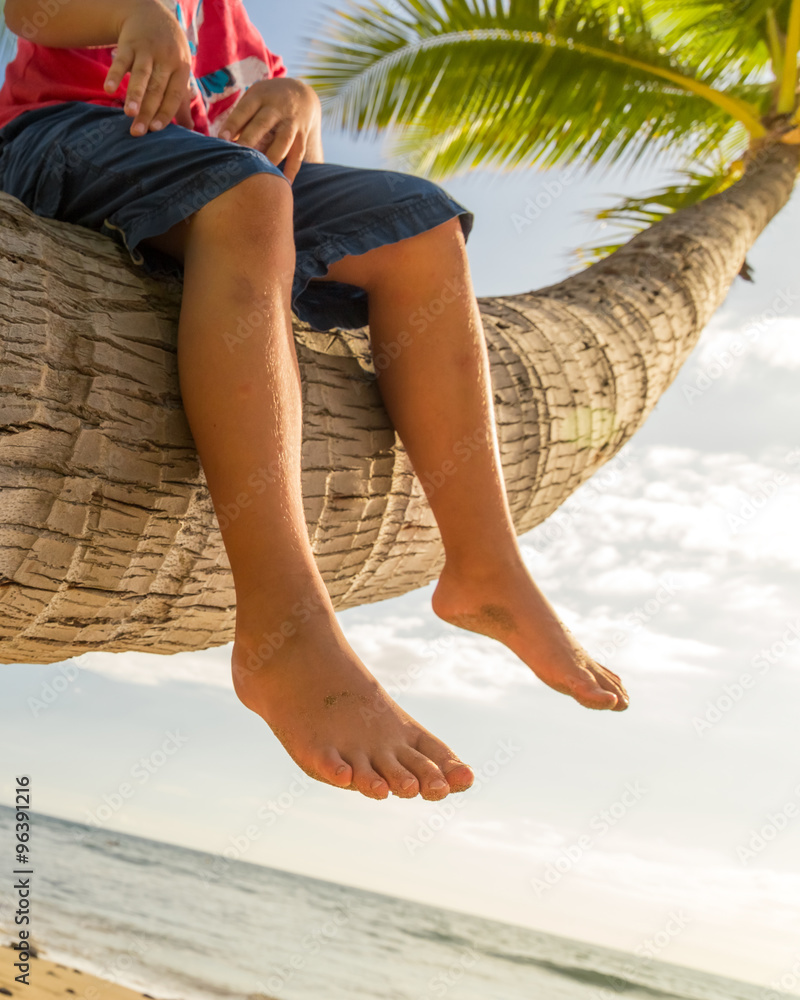 阳光明媚的热带海滩上，男孩坐在棕榈树上