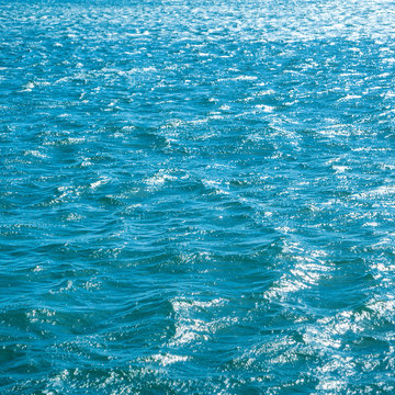 蓝色的大海作为背景。