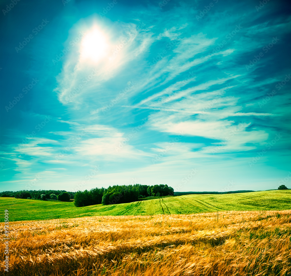麦田与云朵的夏日景观