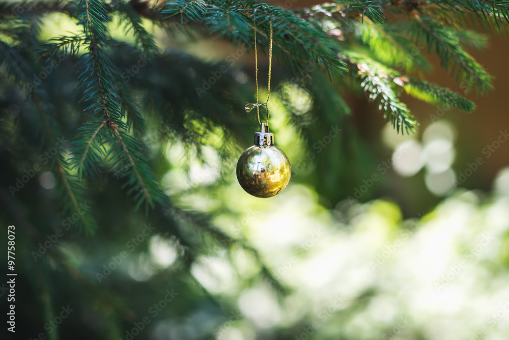 挂在毛皮树树枝上的圣诞金色玩具球