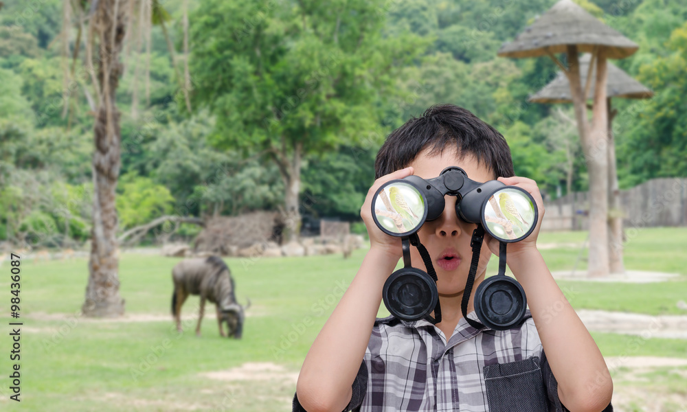 亚洲小男孩在开放动物园使用双筒望远镜
