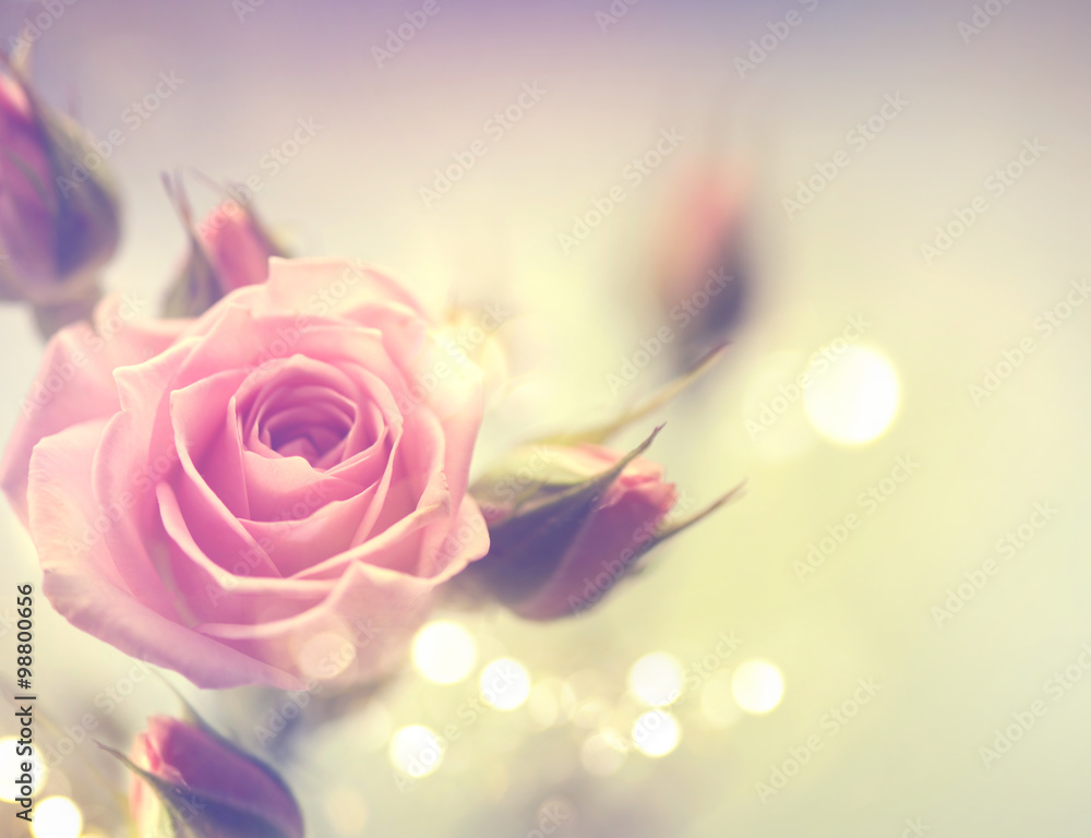 美丽的粉红色玫瑰。复古风格的卡片设计