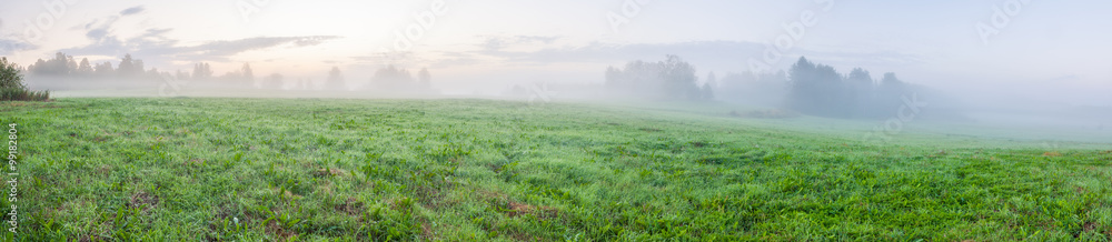 黎明雾蒙蒙的草原