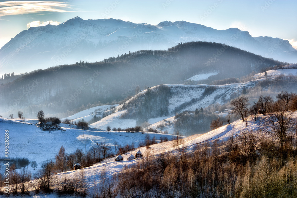 寒冷晴朗的冬日，在特兰西瓦尼亚的野生山丘上。罗马尼亚霍尔巴夫。低调，深色背景，