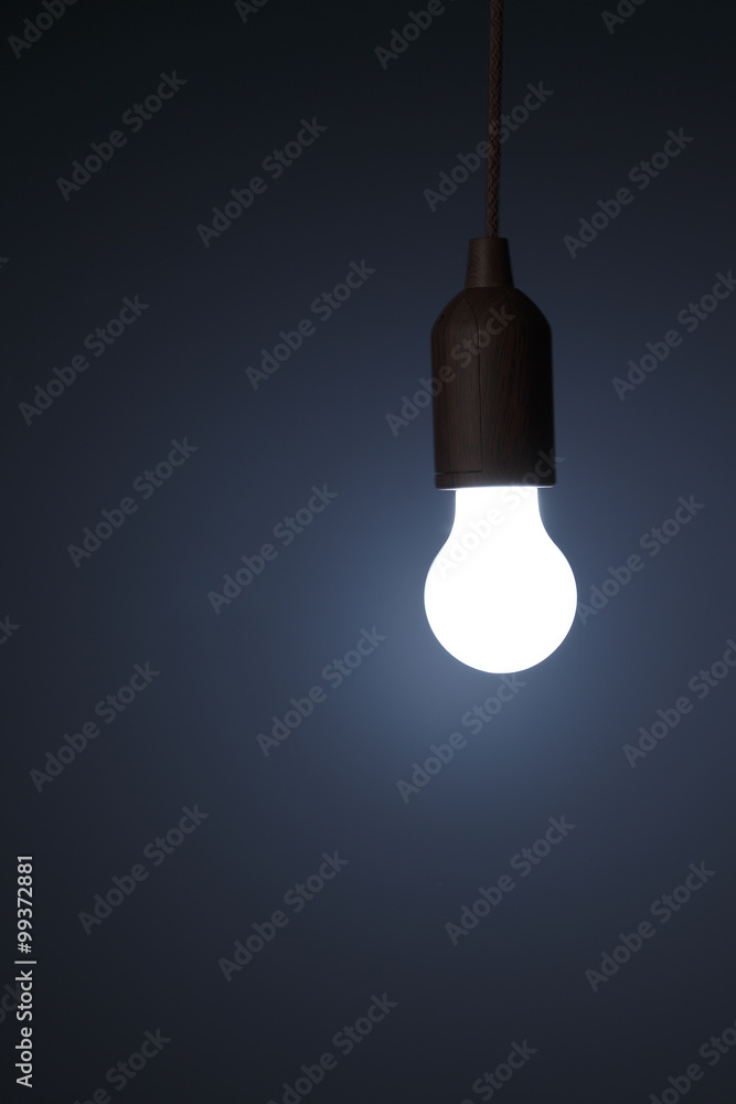 電球/旧タイプの電球