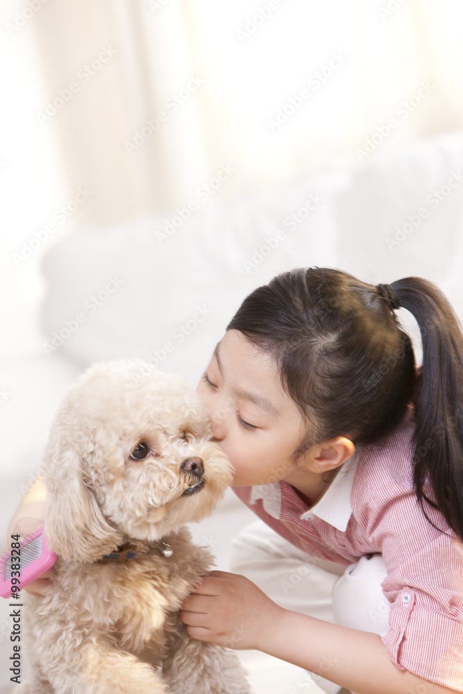 小女孩在玩宠物玩具贵宾犬