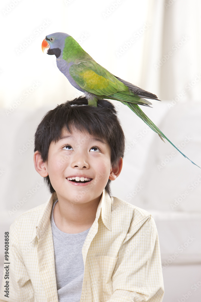 小男孩和宠物鹦鹉玩耍