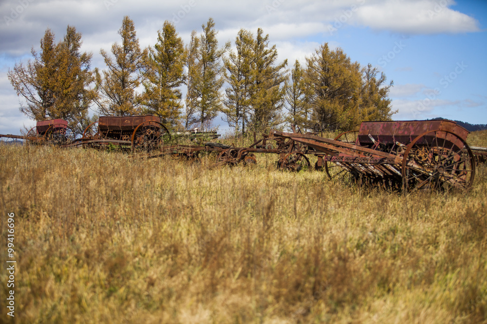 Old agricultural machinery on the grass