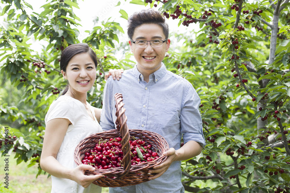 年轻夫妇在果园里摘樱桃