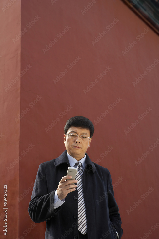 Businessman On Cell Phone Standing Next To Architectural Structure