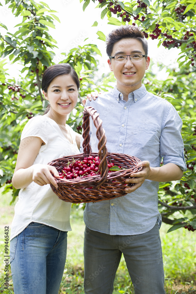 年轻夫妇在果园摘樱桃