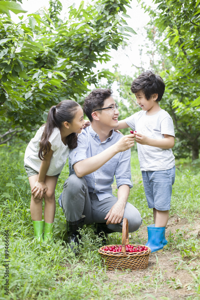 年轻的父亲和孩子在果园里摘樱桃