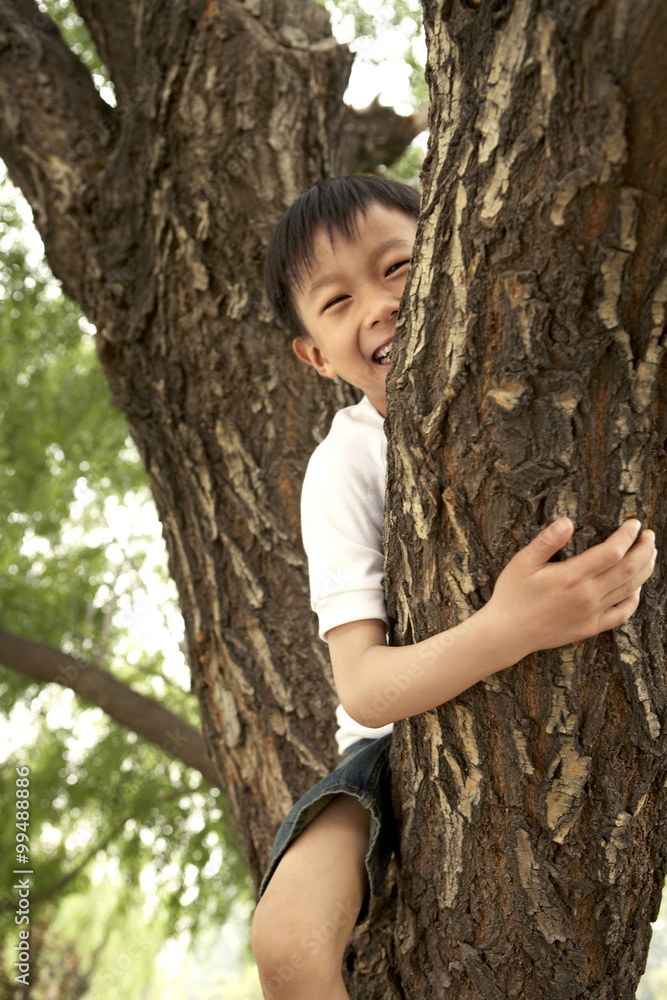 Young Boy Climbing A Tree In A Park