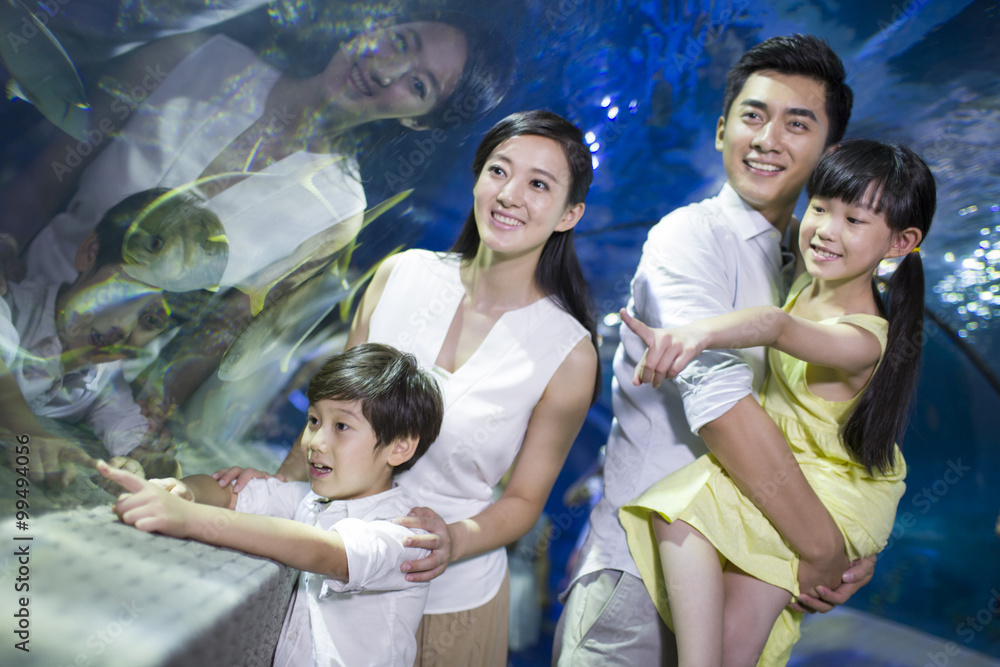 水族馆里的年轻家庭