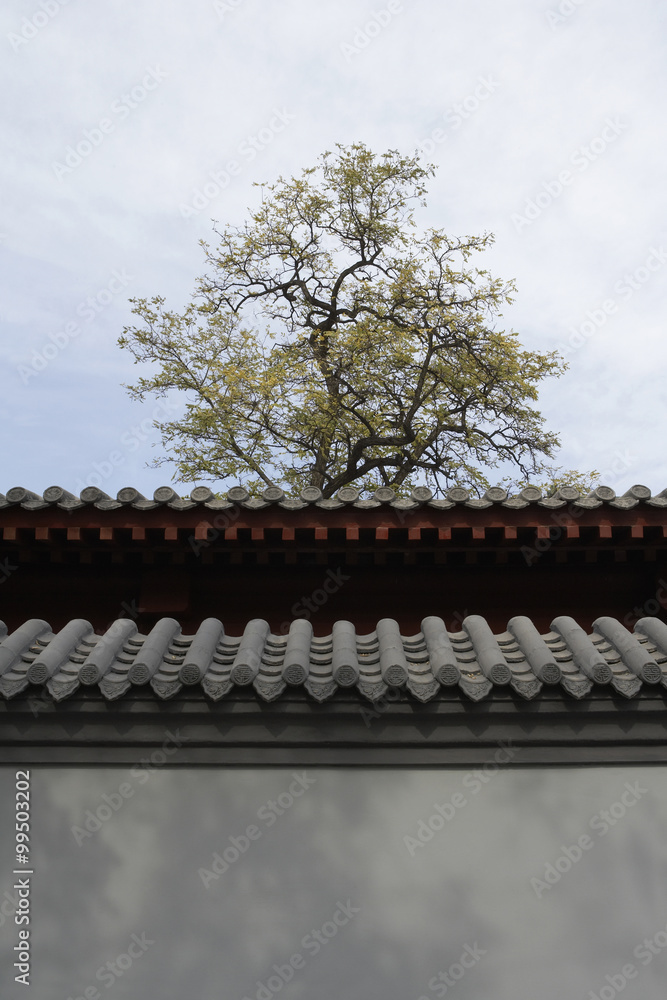 中国宝塔屋顶边缘细节