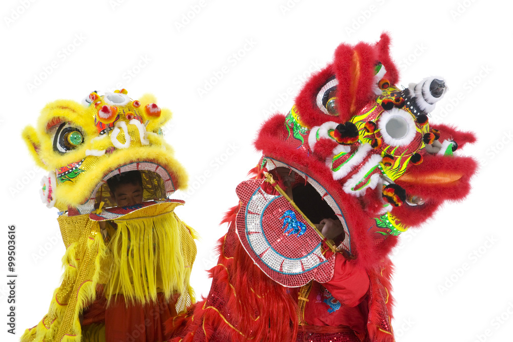 Chinese traditional lion dancing