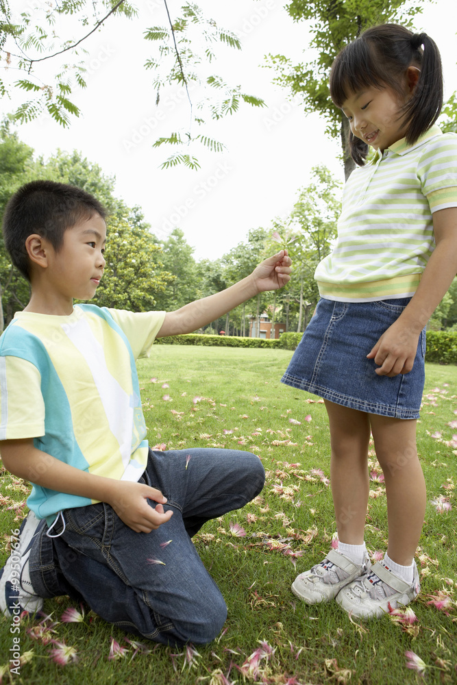 年轻男孩在公园里给年轻女孩一朵花