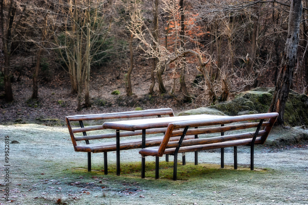 森林景观中有霜冻的野餐长椅。柔和的焦点，模糊的背景，低调，深色背景