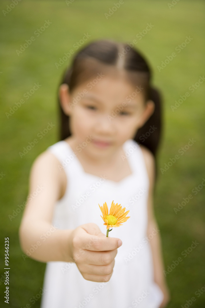 公园里拿着花的年轻女孩