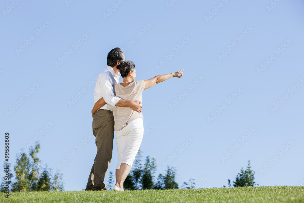 幸福的成熟情侣在公园里看风景