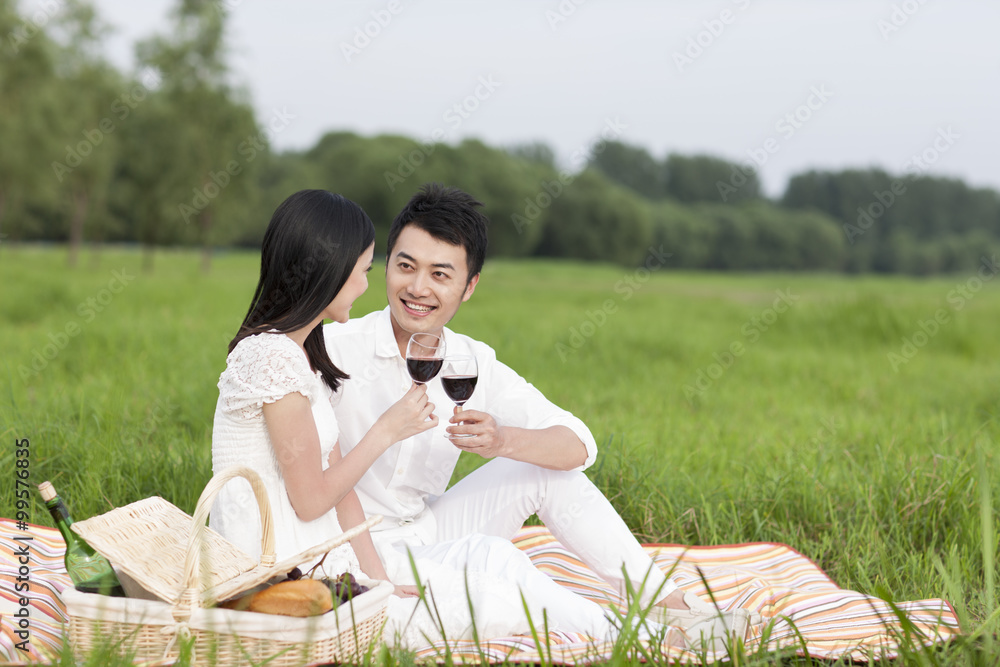 快乐的年轻夫妇在草地上野餐