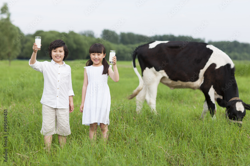 快乐的孩子们拿着牛奶杯，牛群在牧场上吃草