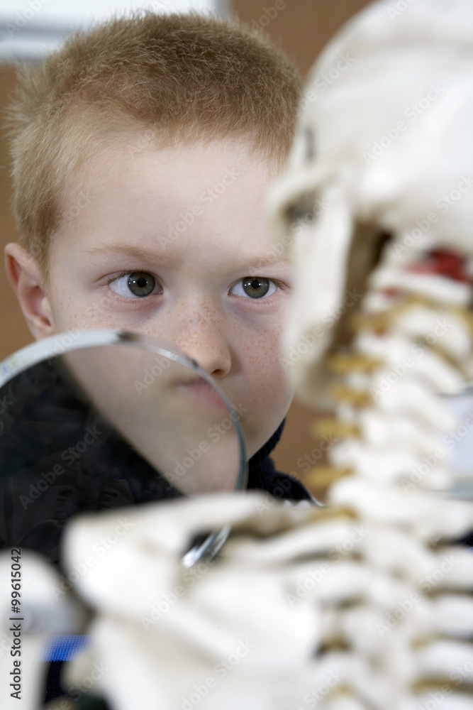 Boy looking through magnifying glass at skeleton