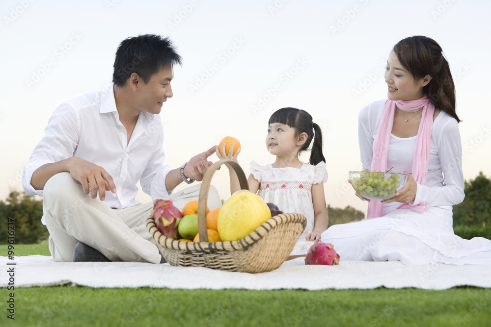 享受野餐的年轻家庭