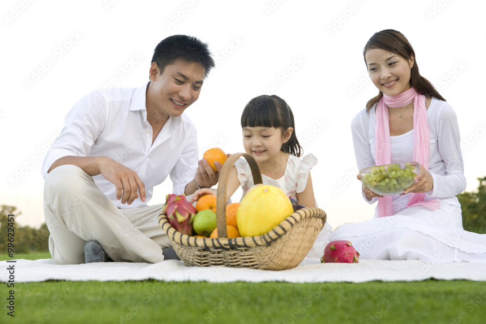 Young family enjoying a picnic