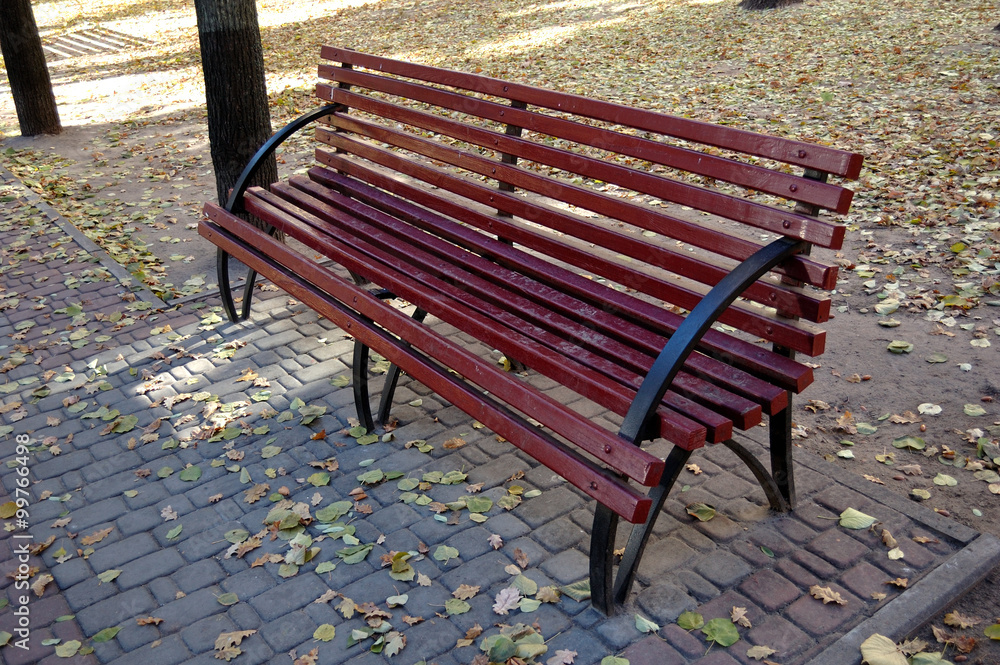 秋天公园里的普通红色长椅。