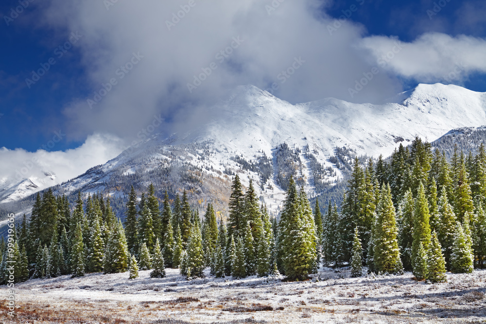 科罗拉多州的雪山和森林