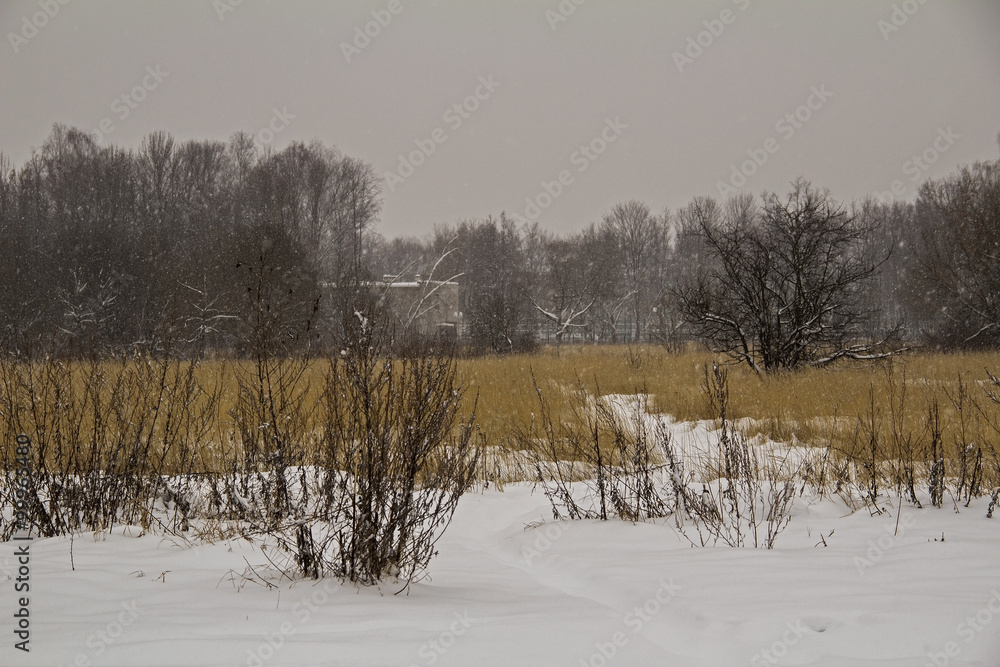 霜冻的冬季景观田干草田。降雪。俄罗斯。