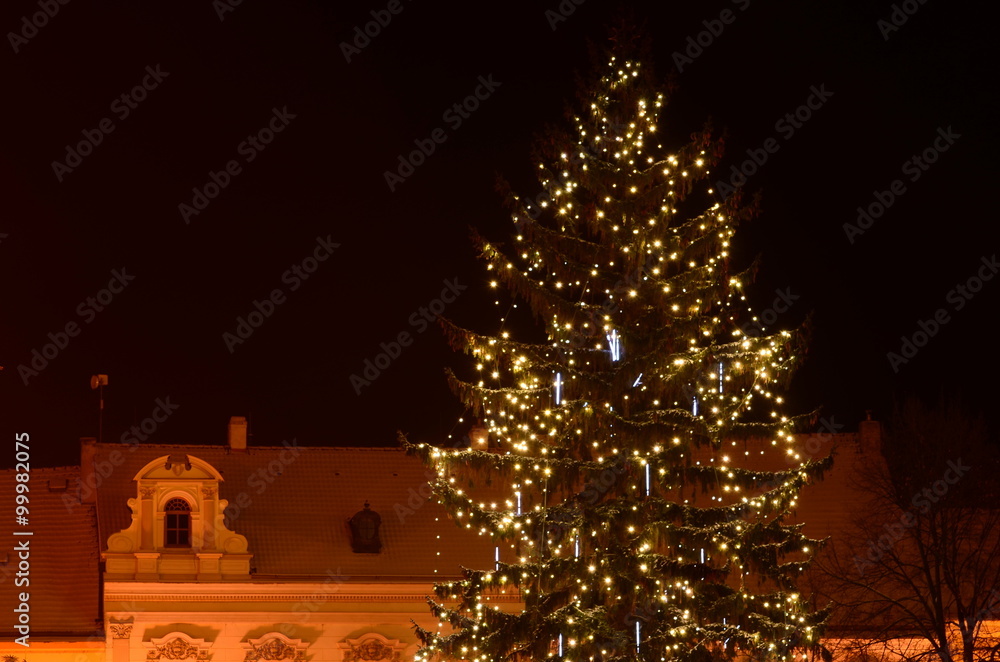 Christmas tree lighting in a European town.